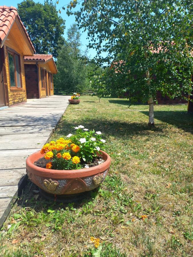 Вилно Селище Мировец Maluk Izvor  Ngoại thất bức ảnh